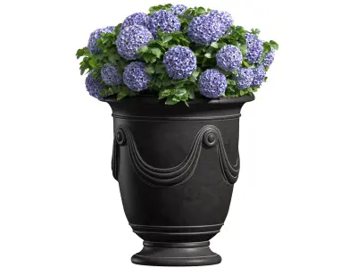 Hydrangea in a classic French Vase Front Entrance Porch  3D model