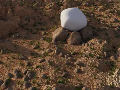 rock and plant 3D model