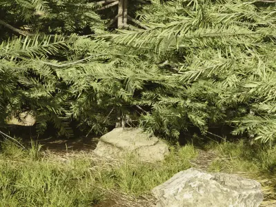 Forest Environment Low-poly 3D model