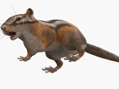  Tree-Dwelling Chipmunk Rigged for Cinema 4D 
