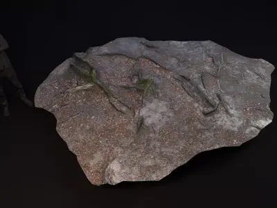 Beech forest ground - 6 of 6 - scan PBR Game ready Low-poly 3D model