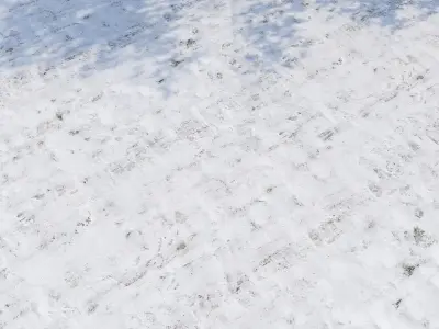 Ultra realistic Snow ground 4 2021 Hq Scan  3D model
