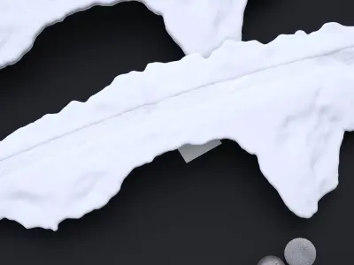 DEATH VALLEY WINTER PATH 001 2025 3D model