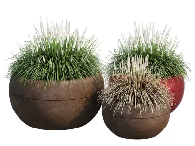Aladin three potted grasses 3D model