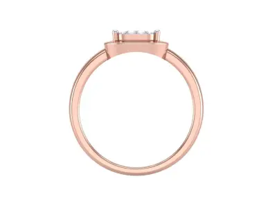 Delicate Ring - 4 3D print model