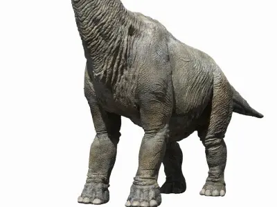  Brachiosaurus (Rigged) 