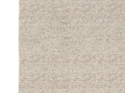 BHARATI WOOL RUG 3D model