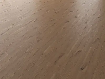 Parquet Oak Vergne Wild Wood set 7 3D model