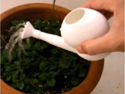 BALCONY SPRINKLER 3D print model