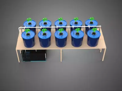 DIY GREENHOUSE BATO DUTCH BUCKET HYDROPONIC SYSTEM PLANT ARRAY 3D model