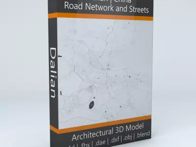Dalian Road Network and Streets 3D model