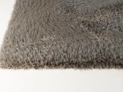Furry Carpet 3D model