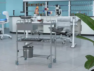  Medical Cart with Anatomical Models and Instruments 