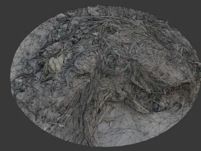 Organic Debris and Vegetation Texture Scan Low-poly 3D model