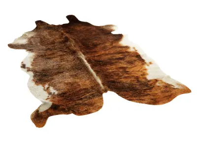 Rustic Living Rug 3D model