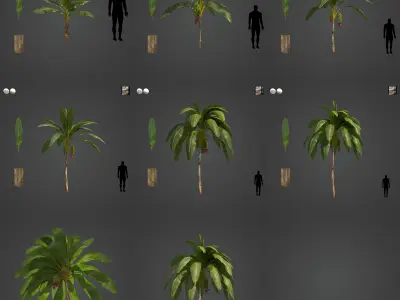 2021 PBR Banana Collection - Musa Paradisiaca  3D model