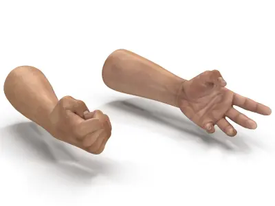  Man Hands 2 Rigged for Cinema 4D 