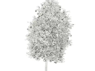 Grapefruit Tree with Fruits 3D model