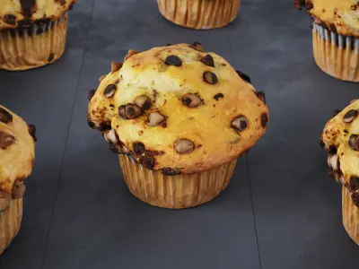 Chocolate Chip Muffins 4 Models