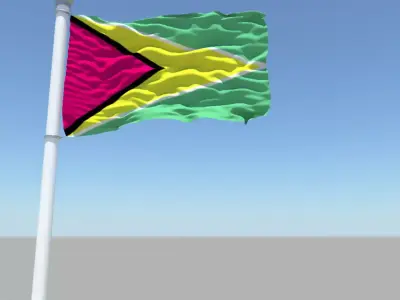 Guyana flag 3D model
