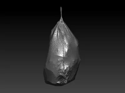 Flex Trashbag 3D scan 3D model