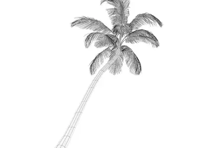 Sloping Palm Tree 3D model