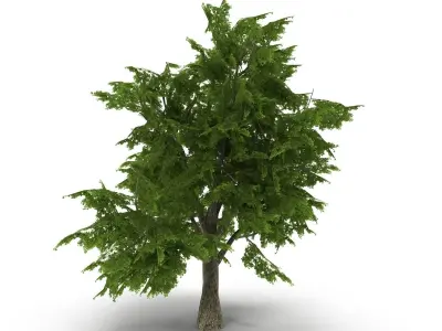 Tree LOW POLY juniper Low-poly 3D model
