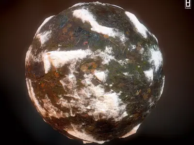 4k PBR Texture Of Snowy Moss Texture