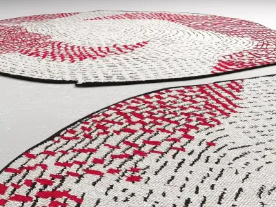 Panier multicolored woven wall hanging 3D model