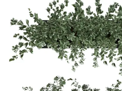 plant 001 Free 3D model