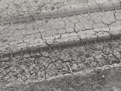 Dirtpath02 piece of wood with cracks in it 3D model