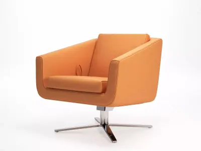 Pavo Armchair 3D model