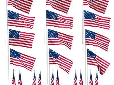 USA flags in the wind 3D model