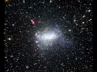 Barnards Galaxy 3D model