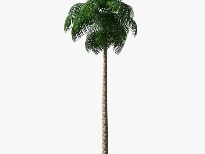 Palm Tree 02 Low Poly Low-poly 3D model