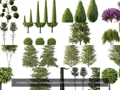 Excellent collection of Outdoor plants 32 Different Models 0036 3D Model Pack