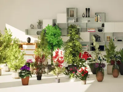 High-Poly Indoor Plants for Realistic Design Low-poly 3D model