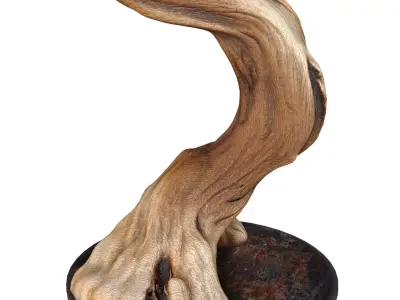 Rustic Eco Floor lamp made natural driftwood branches Loft style 3D model