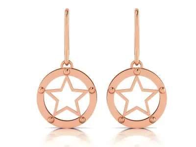 Women Earrings 3D print model