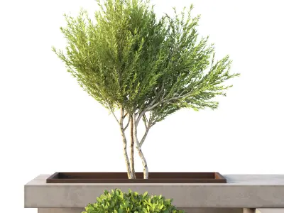 Environment with Plants Set 01 3D model