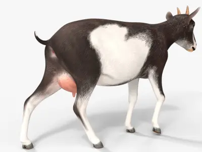  Domestic Goat Rigged for Blender 