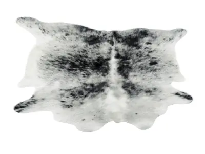 Animal skin rug 11 3D model