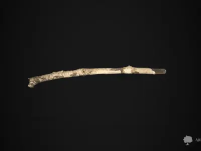 Wood stick 002 - Photogrammetry Low-poly 3D model