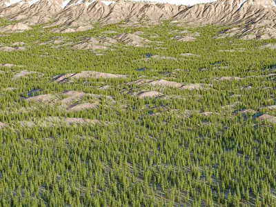 landscape01 engelmann spruce 3D model