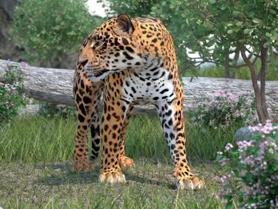  Big Cats Rigged Collection for Maya 