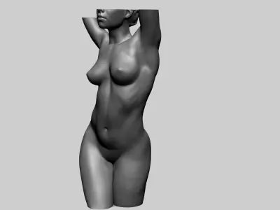 Female Torso C 3D model