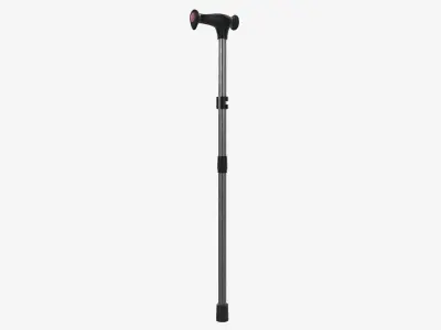 Lightweight walking stick 3D model