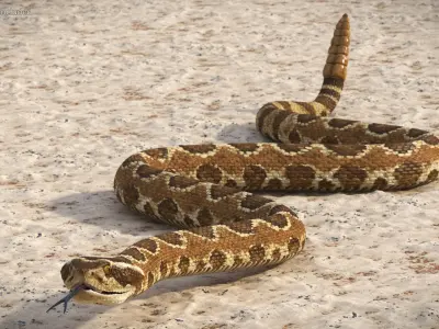  Light Rattlesnake Crawls Animated Rigged for Maya 