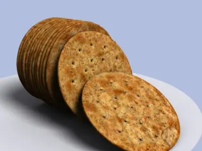 Salty cracker biscuit 3D model