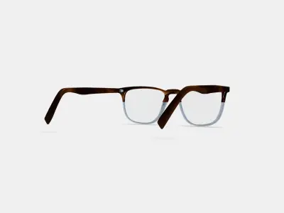 Vaughan Eyeglasses in Eastern Bluebird Fade 3D model